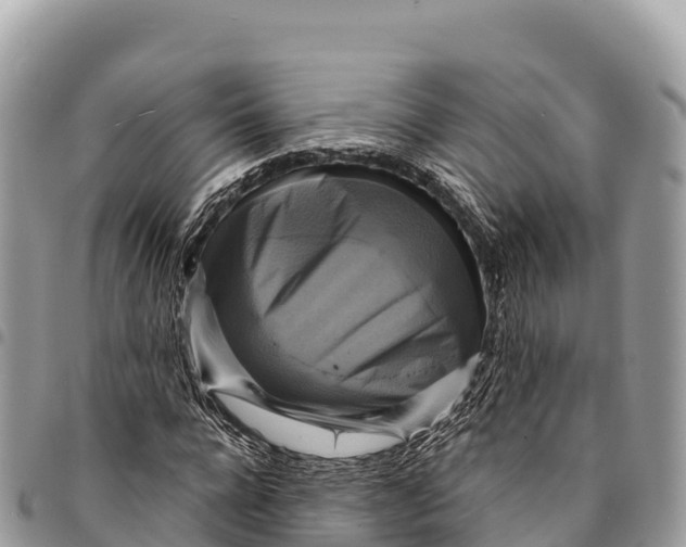 X0000094420920200711291546