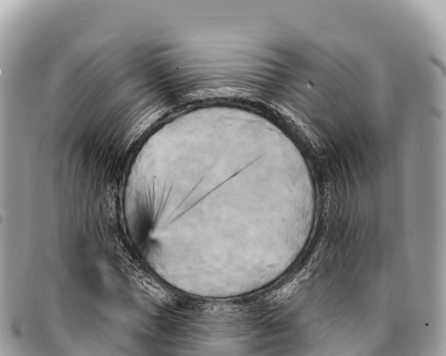 X0000094420921200711291546