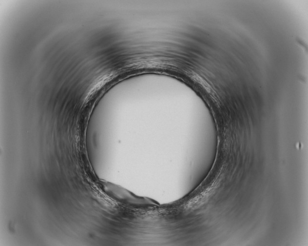 X0000094420922200711291546