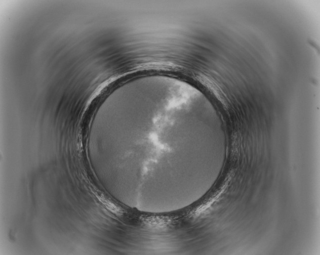 X0000094420923200711291546