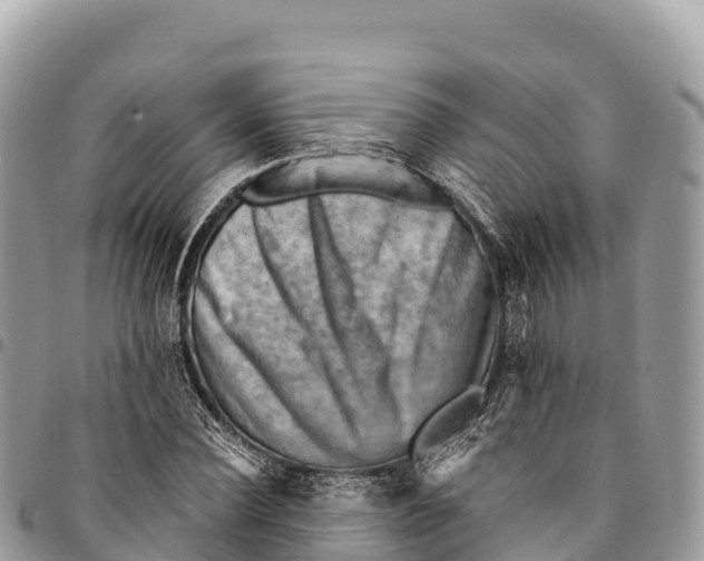 X0000094420924200711291546