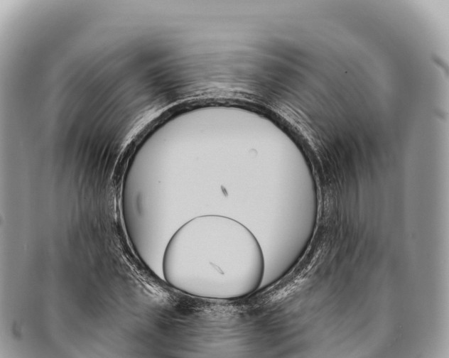 X0000094420925200711291546