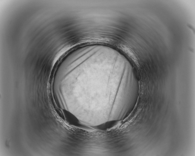 X0000094420928200711291546