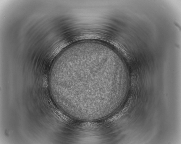 X0000094420929200711291546