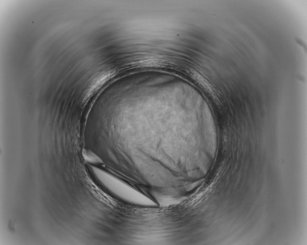 X0000094420930200711291546