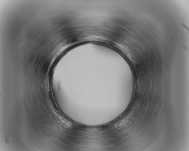 X0000094420931200711291546