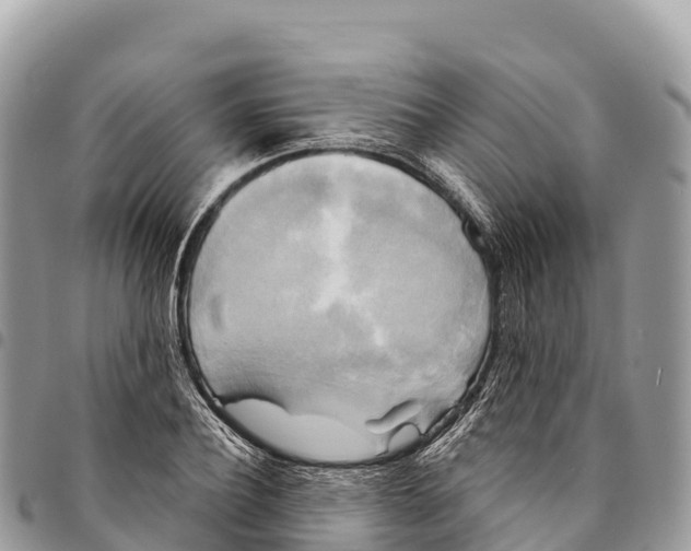 X0000094420932200711291546