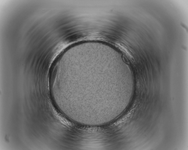 X0000094420934200711291546