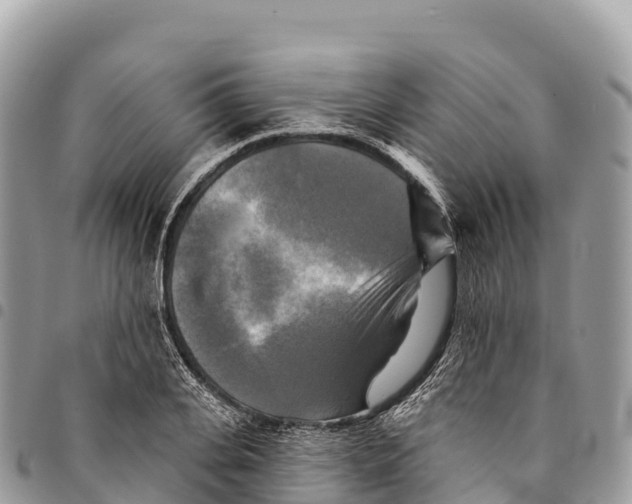 X0000094420935200711291546