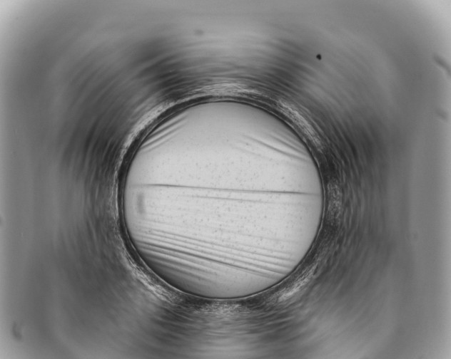 X0000094420939200711291546