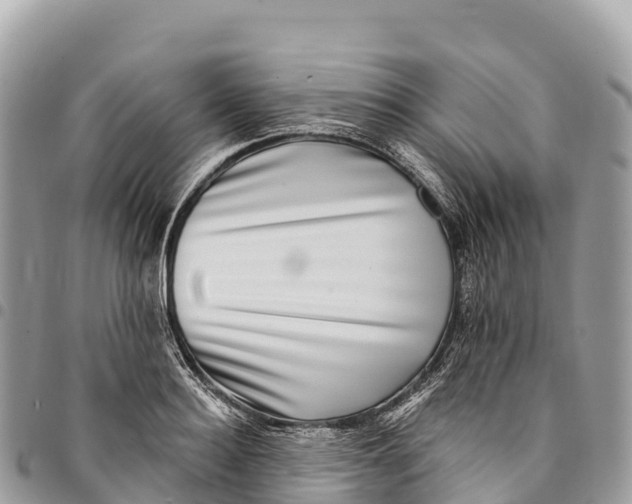 X0000094420940200711291546