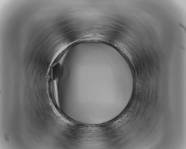 X0000094420941200711291546