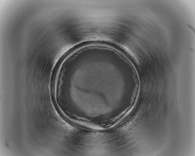 X0000094420943200711291546