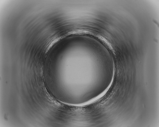 X0000094420945200711291546