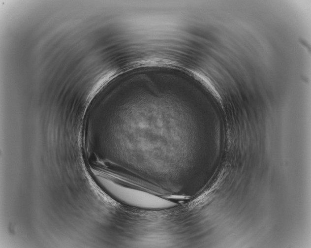 X0000094420946200711291546