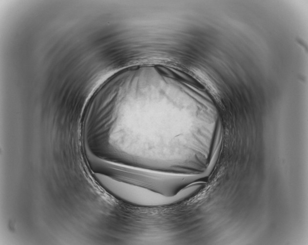 X0000094420948200711291546