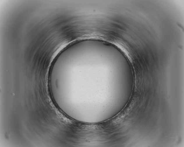 X0000094420949200711291546