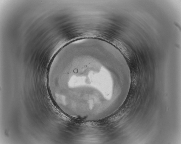 X0000094420950200711291546