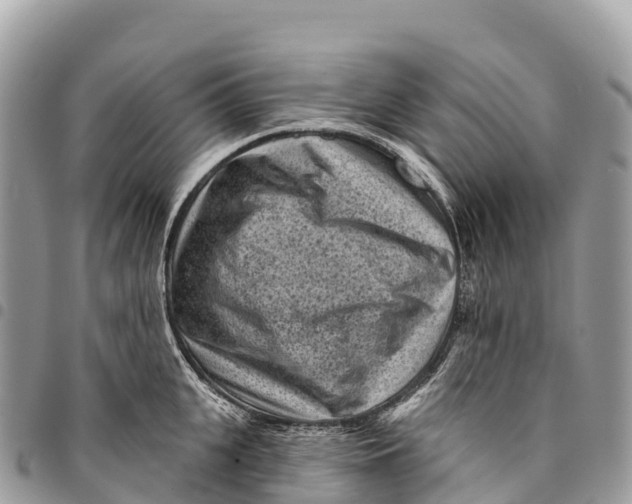 X0000094420951200711291546