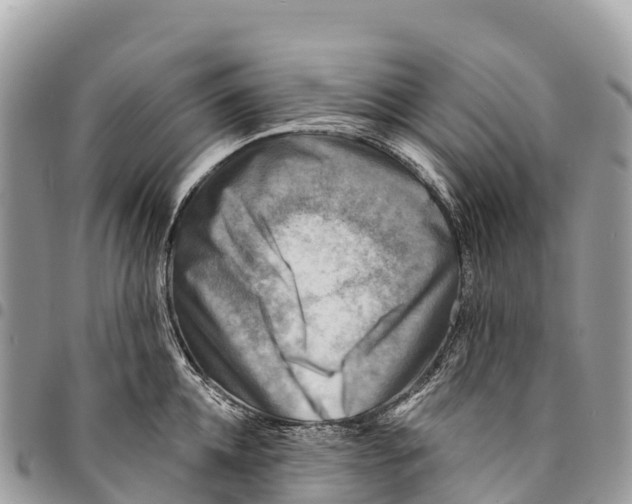 X0000094420952200711291546