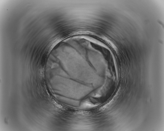 X0000094420953200711291546