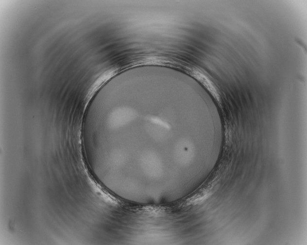 X0000094420954200711291546