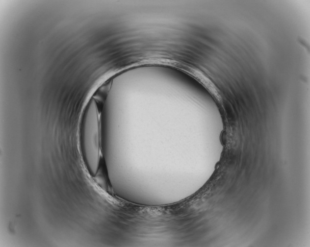 X0000094420955200711291546