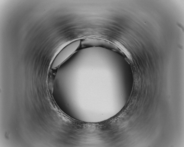 X0000094420956200711291546