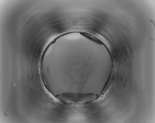 X0000094420958200711291546