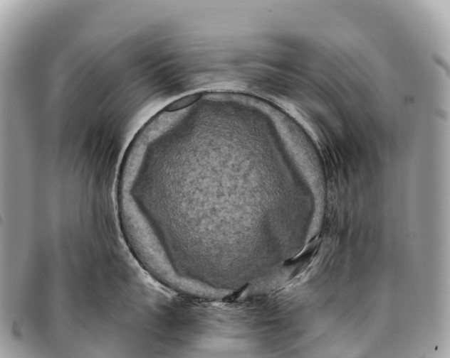 X0000094420959200711291546