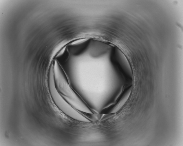 X0000094420960200711291546