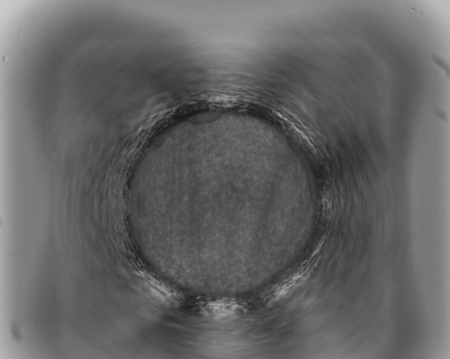 X0000094420961200711291546