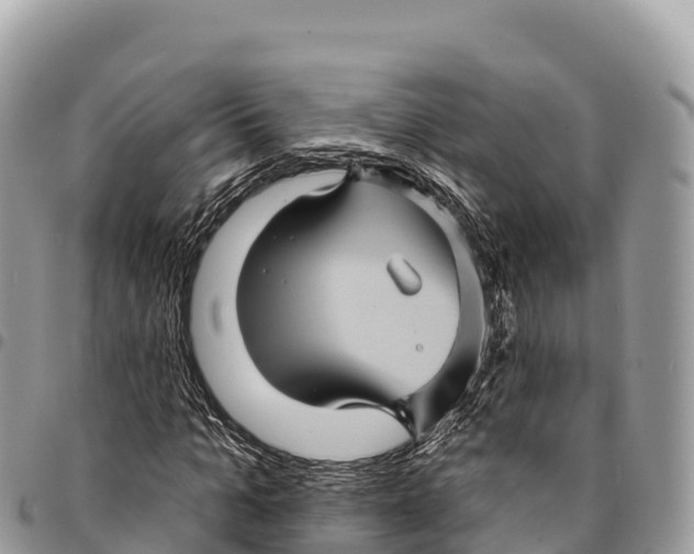 X0000094420965200711291546