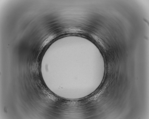 X0000094420970200711291546