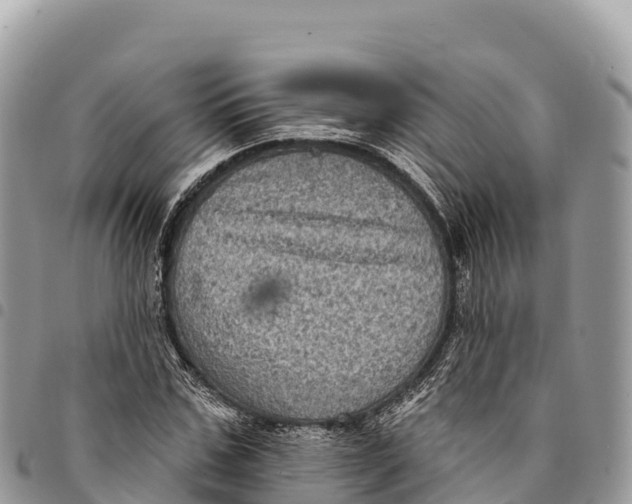 X0000094420971200711291546