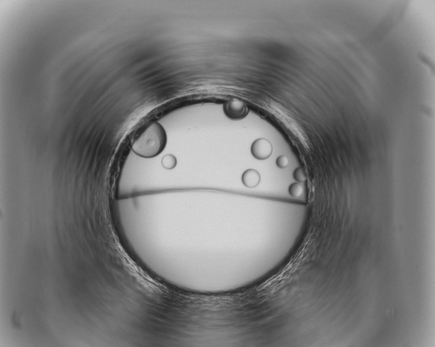 X0000094420972200711291546