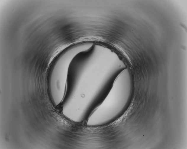 X0000094420973200711291546