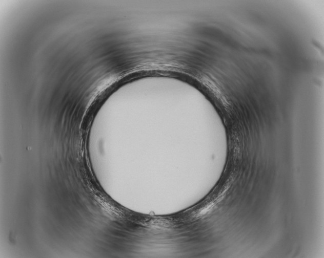 X0000094420974200711291545