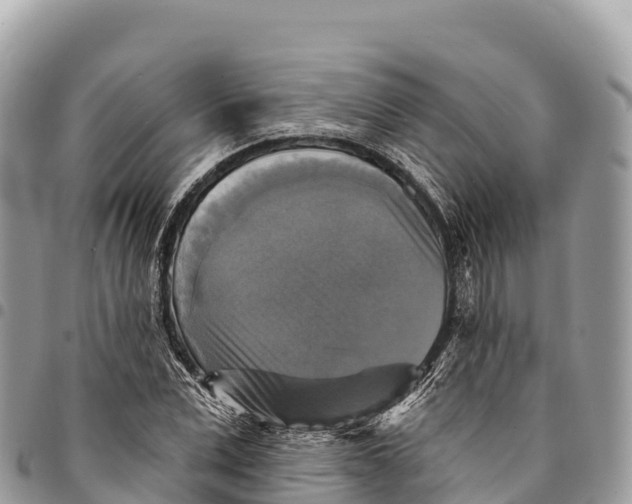 X0000094420975200711291545