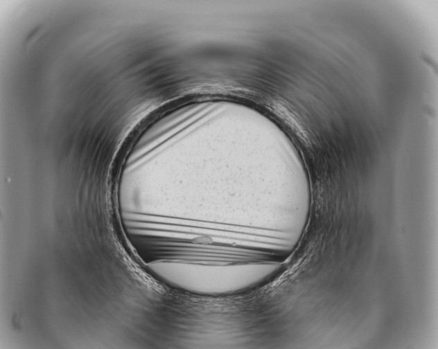 X0000094420976200711291545