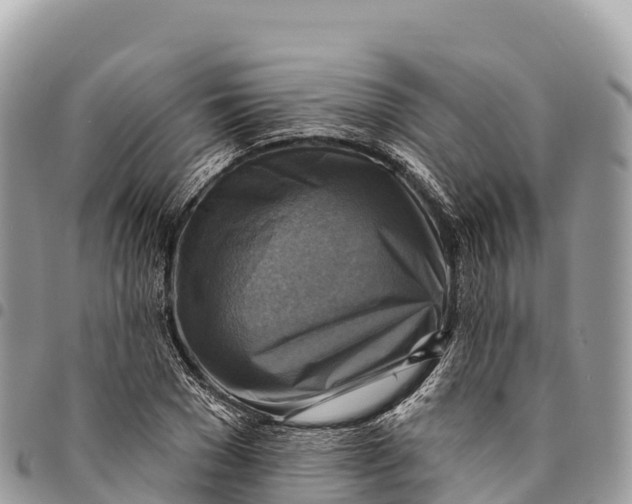 X0000094420977200711291545