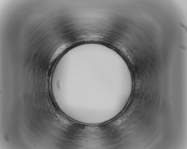 X0000094420978200711291545