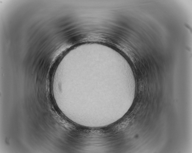 X0000094420979200711291545