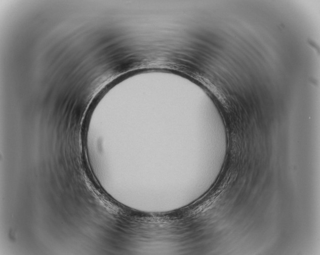 X0000094420980200711291545