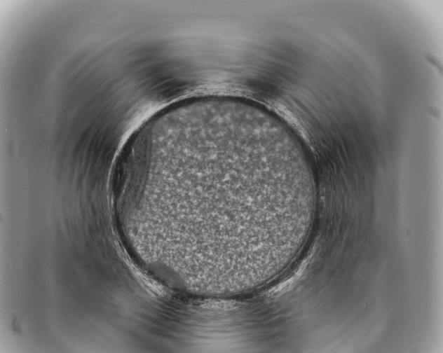 X0000094420981200711291545