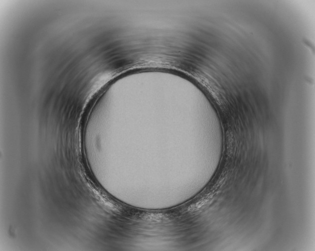 X0000094420982200711291545