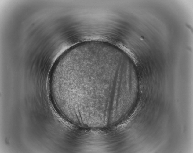 X0000094420983200711291545