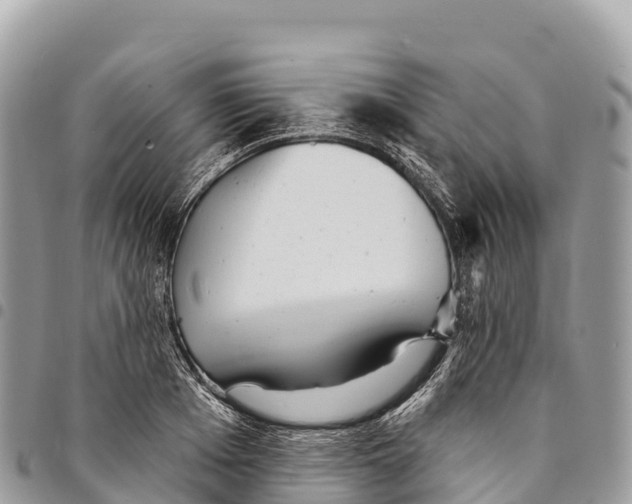 X0000094420985200711291545