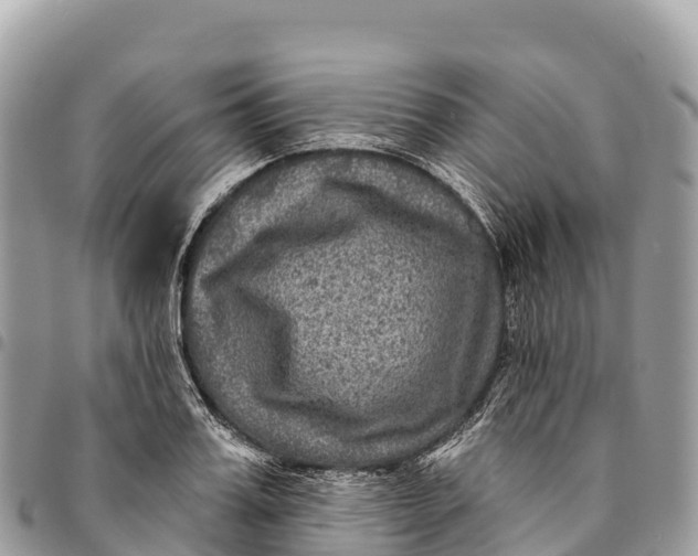 X0000094420987200711291545