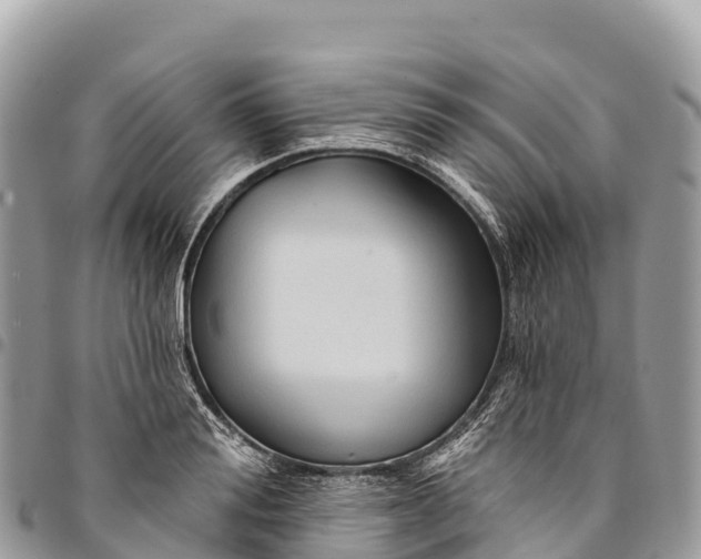 X0000094420988200711291545